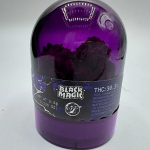 Wizard Trees Black Magic