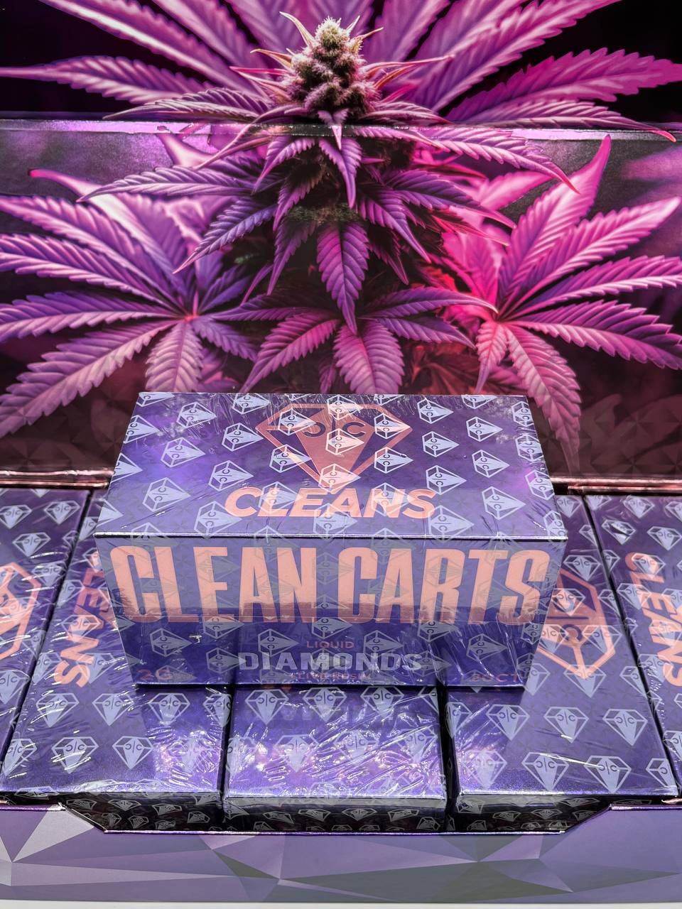 Clean Carts 2G Disposable – Purple Edition – Bild 3