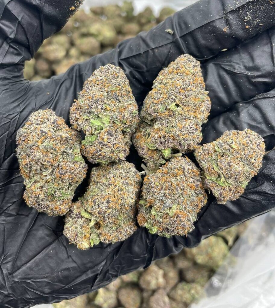 Home Atomic Apple strain