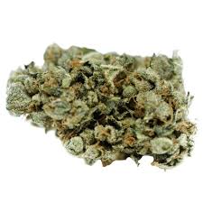 Burberry Haze strain