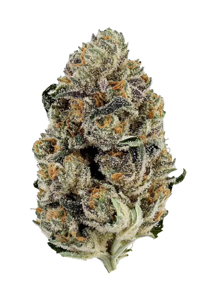 Candy Creme strain