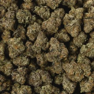 Cherry Gushers strain