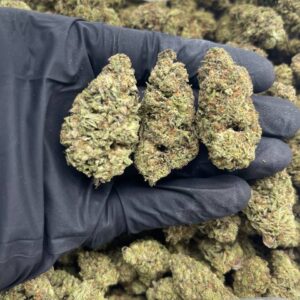 Cherry Zlushie strain