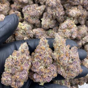 Exotic Tropicana strain