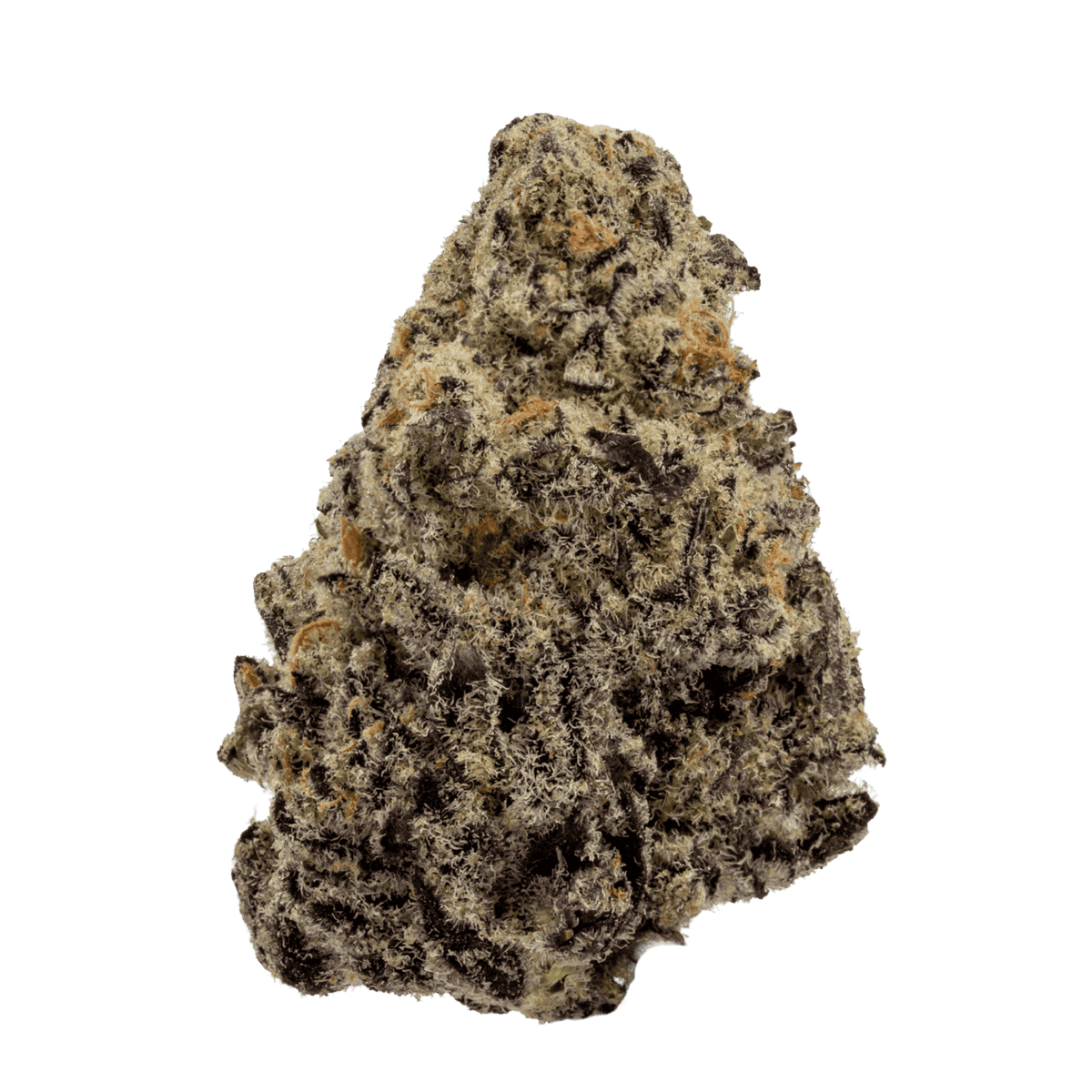 Garlic Glaze Garlic Glaze strain