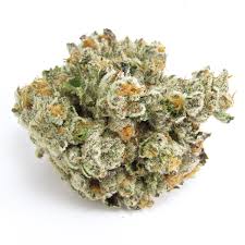 Gasface GMO strain