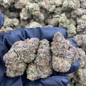 Gorilla Cookies strain