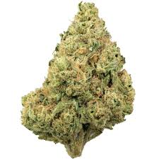 Grease Burger strain