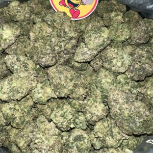 Ice Cream Gelato strain