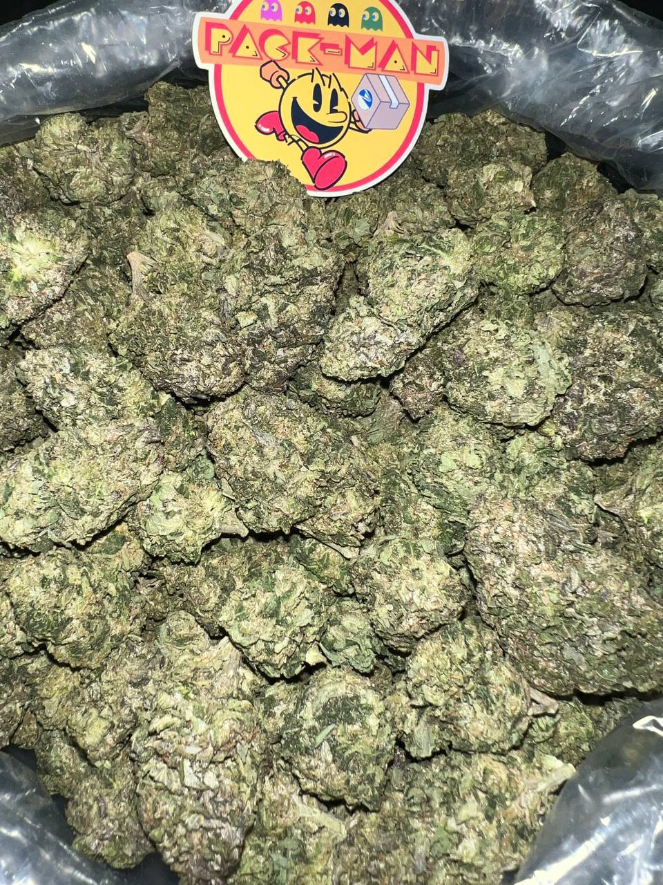 Ice Cream Gelato strain