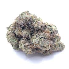 Ice Cream Sandwich 2 Ice Cream Sandwich strain