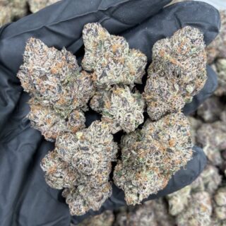 Japanese Peaches Japanese Peaches – Bild 7