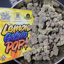 Lemon Gelato Pop - Image 6