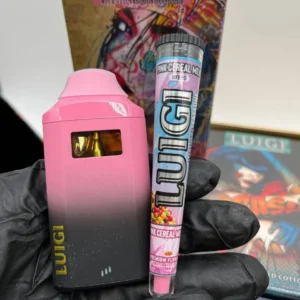 Luigi V5 disposable 2G