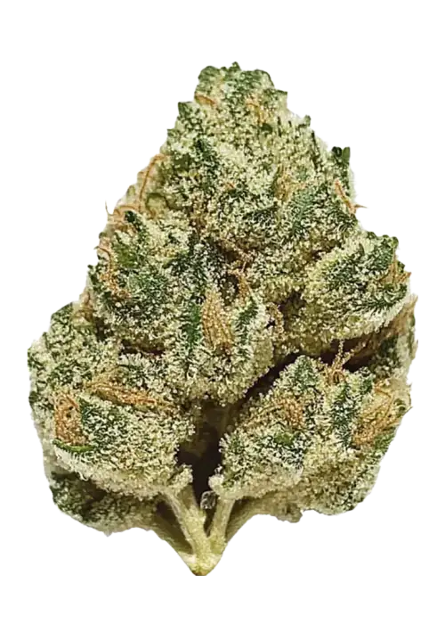 Marathon OG Marathon OG strain