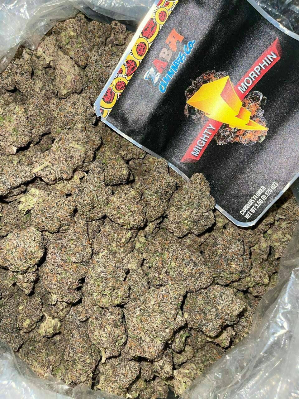 Mighty Morphin - Image 6