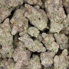 Milk Shake - Image 4