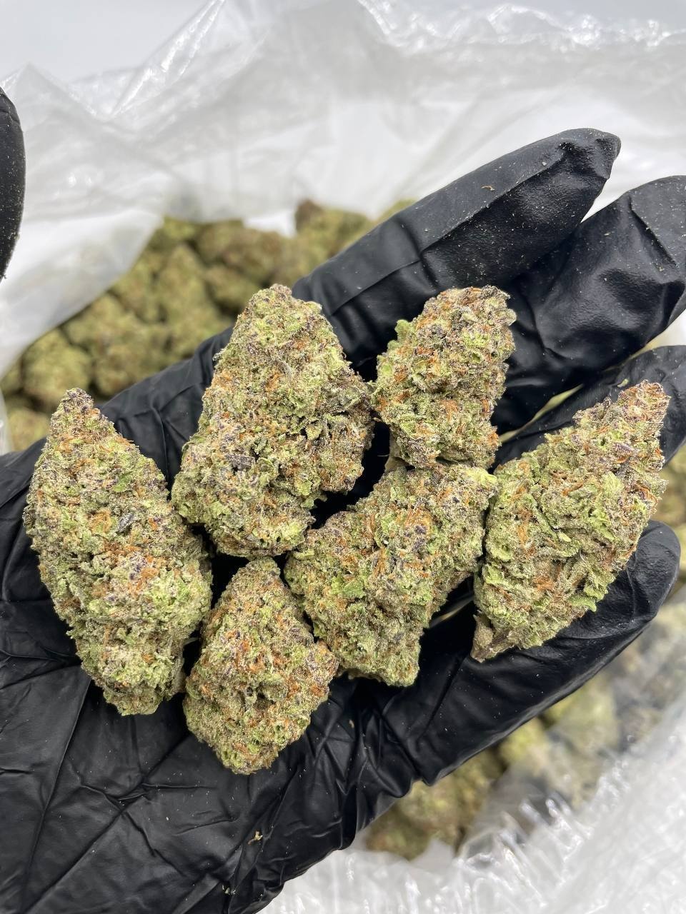 Space Rocks – Bild 2