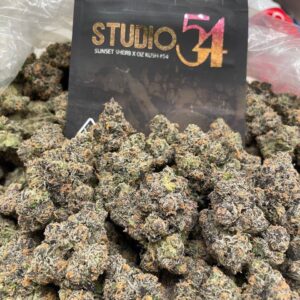 Studio 54 strain