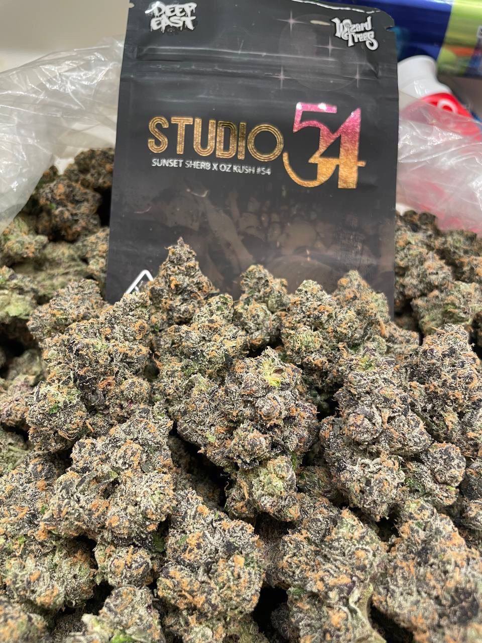 Studio 54 strain