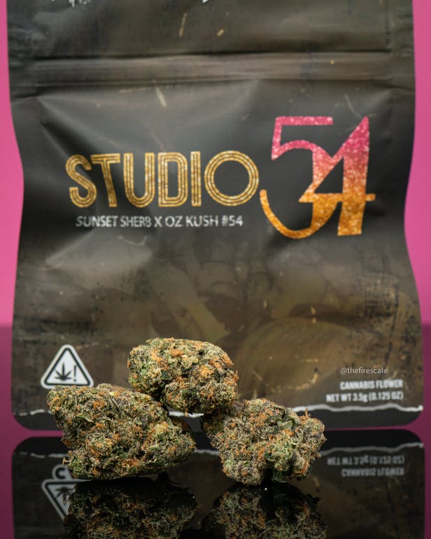 Studio 54 strain