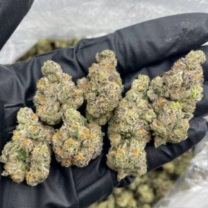 Super Lemon Cherry strain