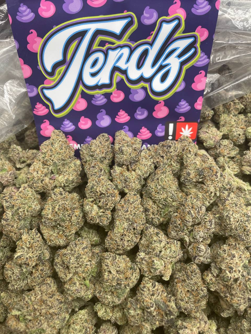 Terdz strain
