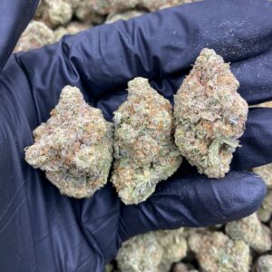 Miracle Alien Cookies 1