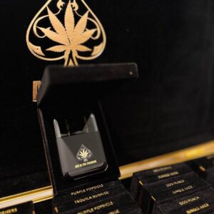 Ace Ultra Premium 4G