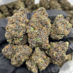 Blue Candy Lemonz strain