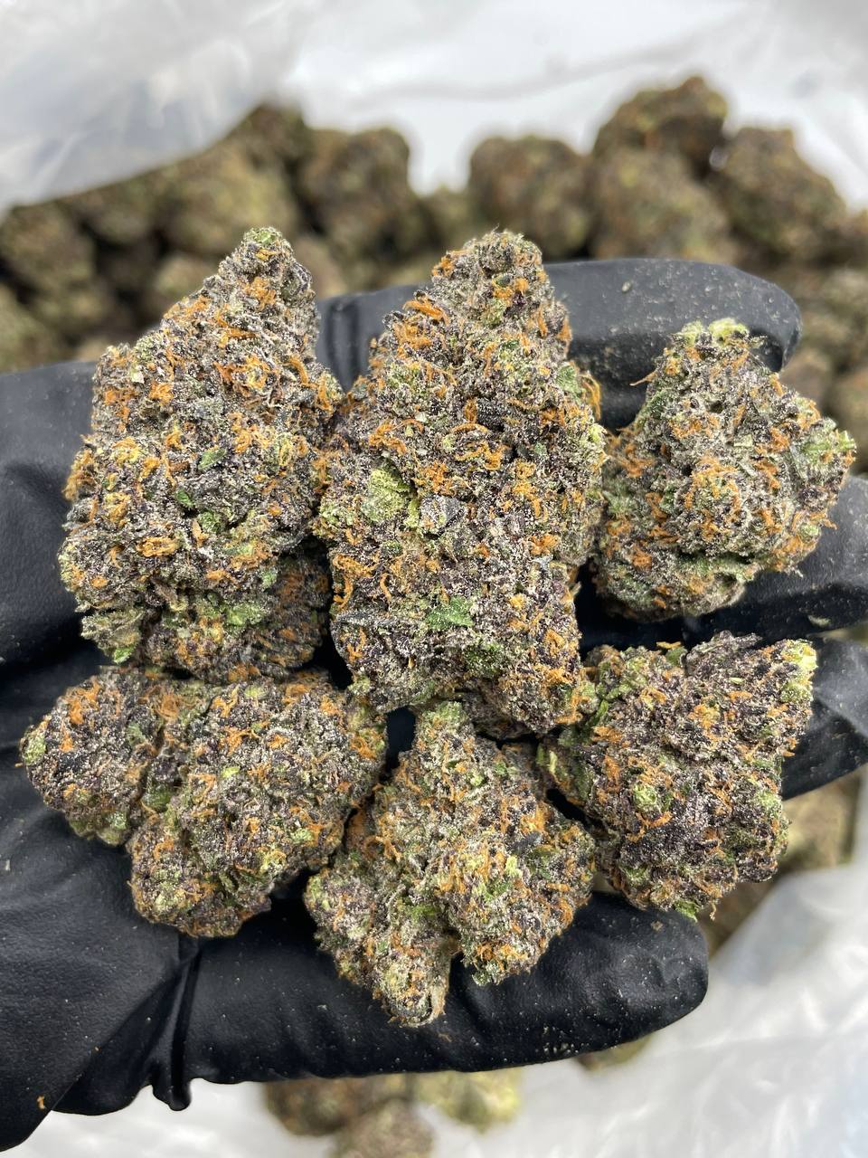 Blue Candy Lemonz strain