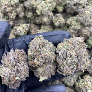 Frosted Trufflez strain