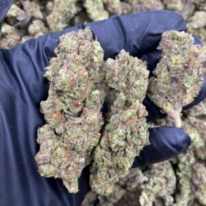 GMO Kush strain