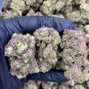 Grease Burger strain