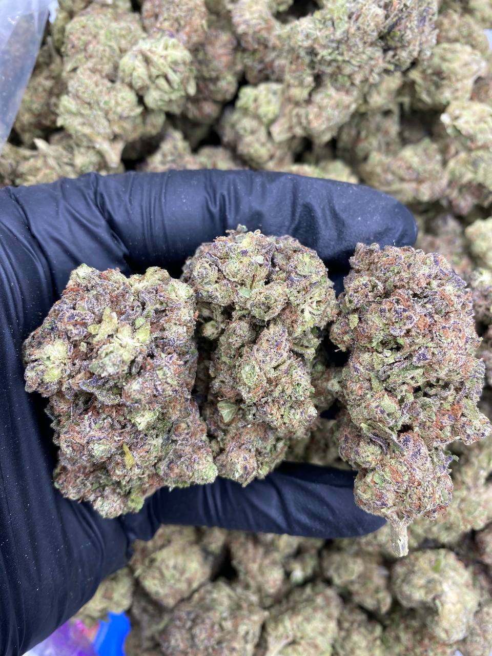 Grease Burger strain