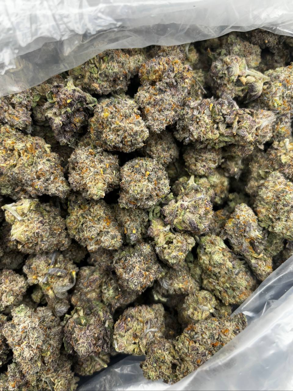 Japanese Peaches Japanese Peaches – Bild 2