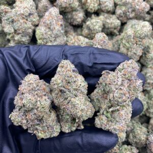 aaaa lemon cherry gelato strain