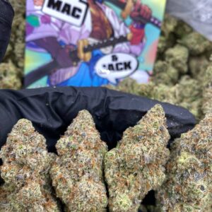Mac n Jack strain