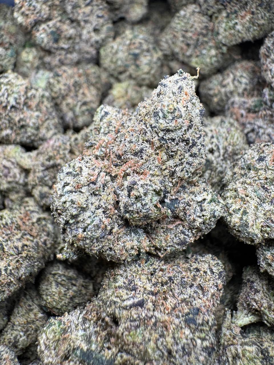 Mighty Morphin - Image 2