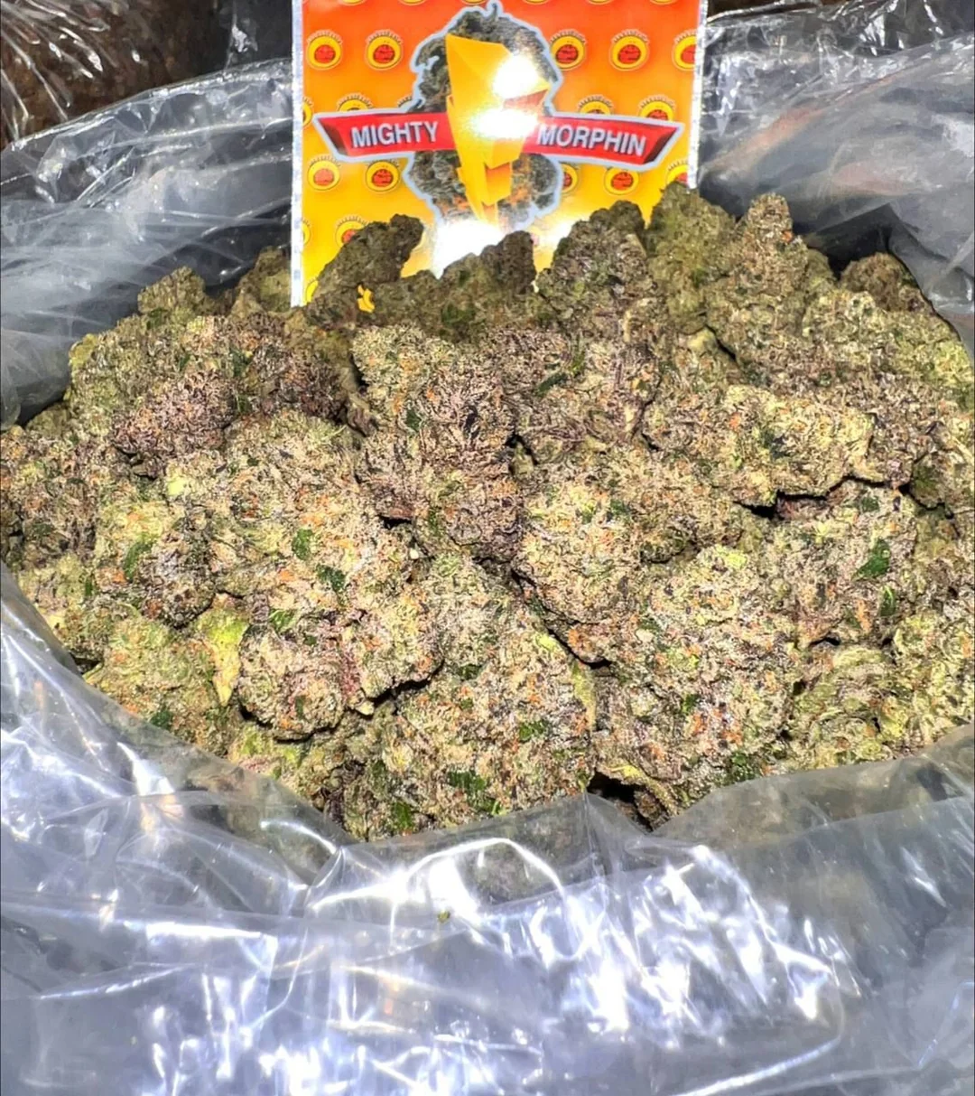 Mighty Morphin strain