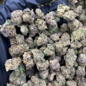 Purple Creme Soda Smalls