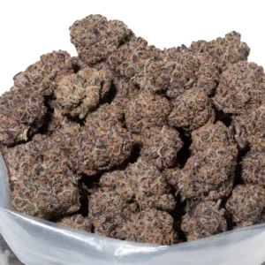 Purple Gelato strain