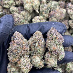 Rainbow Nerds weed strain