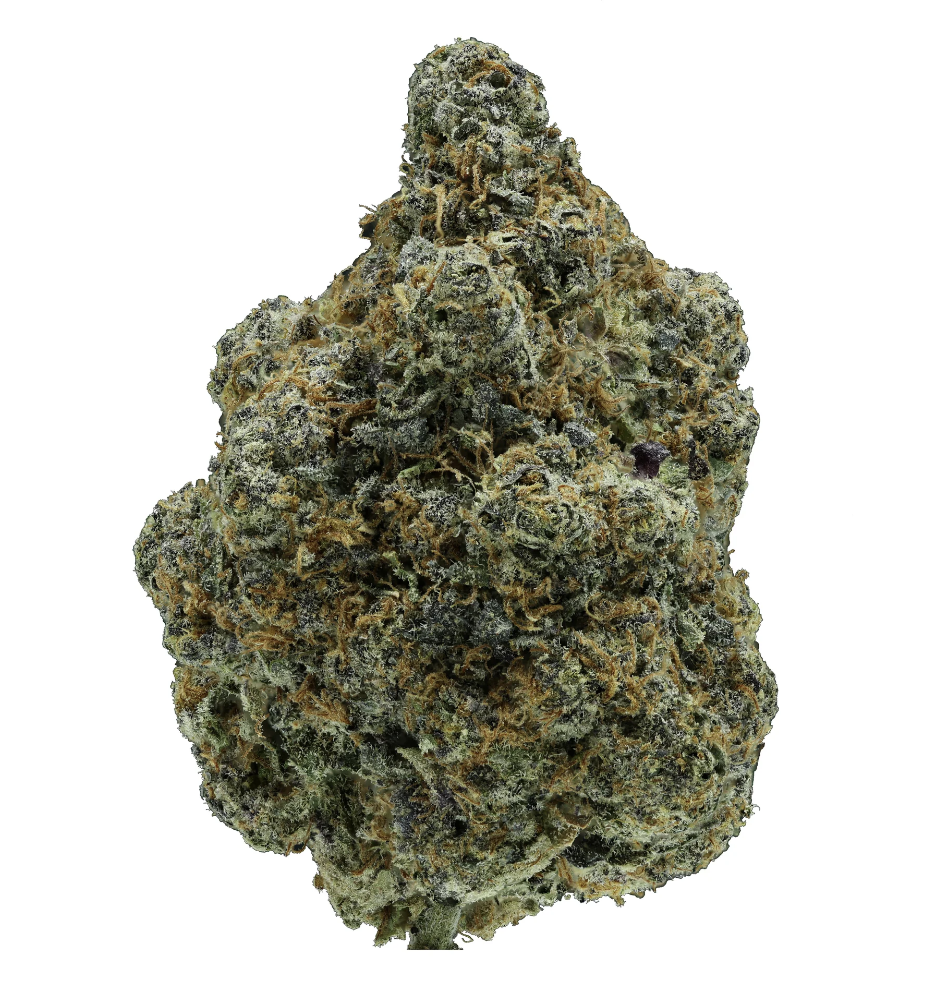 Space Rocks – Bild 6