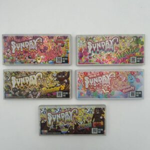 Sunday Mushroom Chocolate Bars