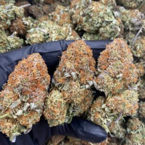 White Fire Bubbas weed strain