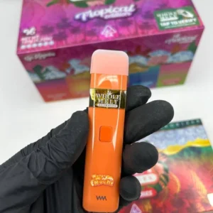 whole melt v6 tropical edition​